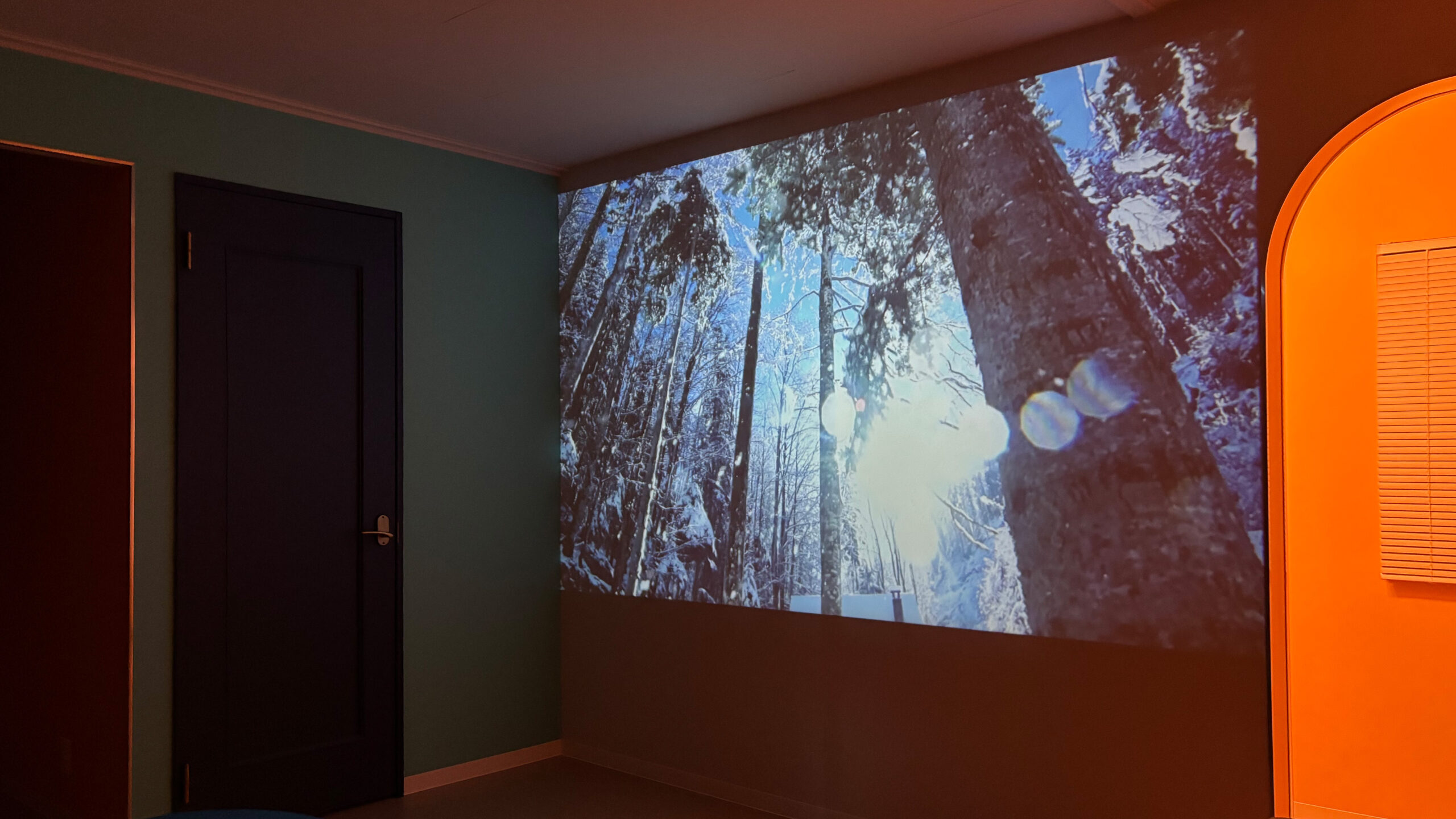 大画面プロジェクター